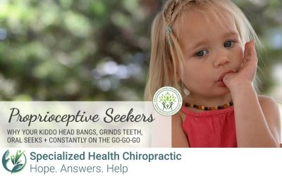 Proprioceptive Seekers Webinar