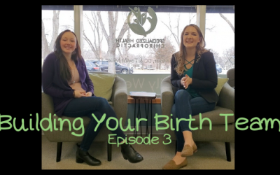 Building Your Birth Team, Episode 3